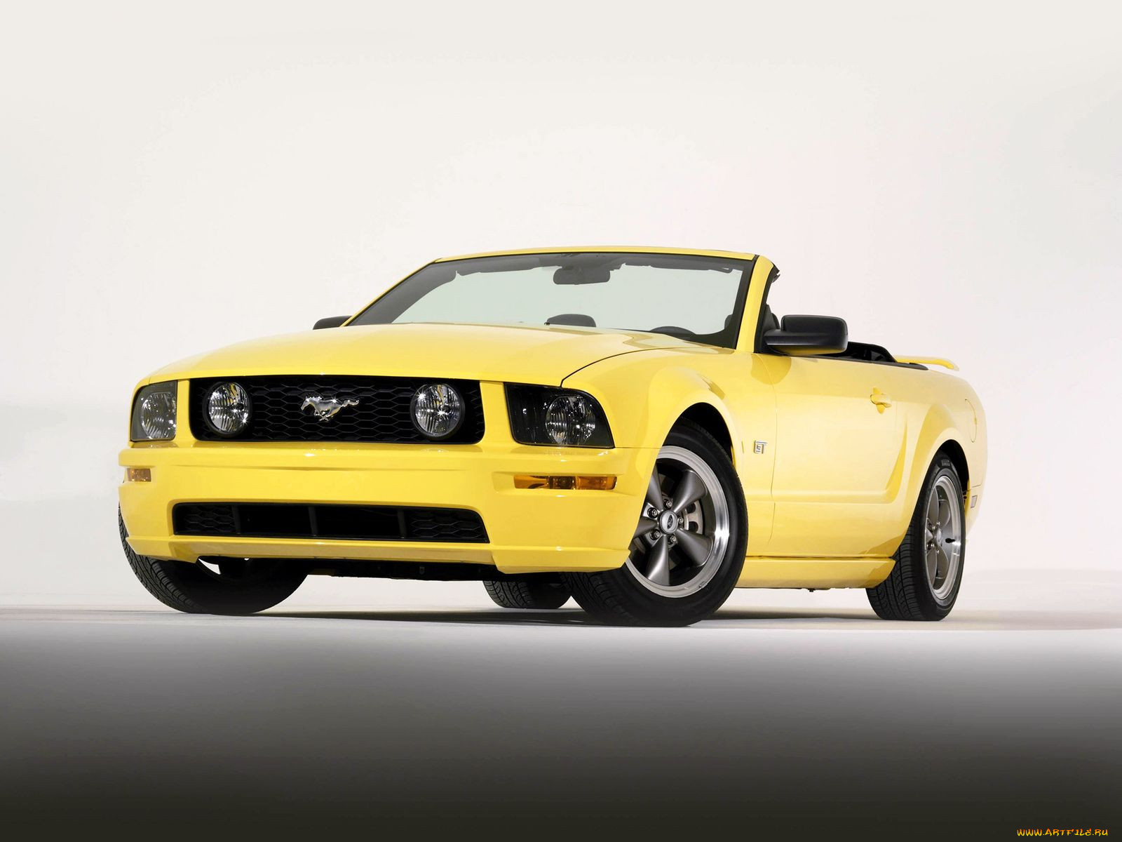 , mustang